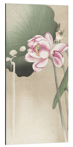 Alubild Lotus Blume und Fink