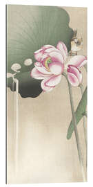 Gallery print Lotus Flower and Finch