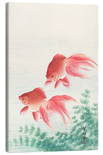 Canvas print Two goldfish