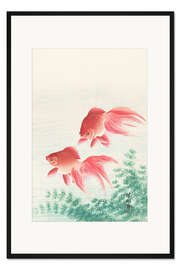 Gerahmter Kunstdruck Zwei Goldfische