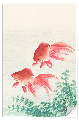 Wall sticker Two goldfish