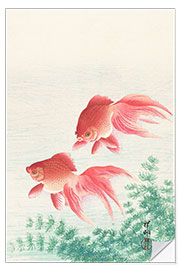 Wall sticker Two goldfish