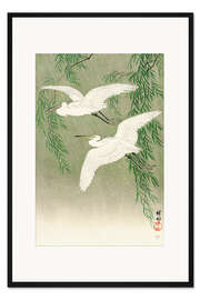 Gerahmter Kunstdruck Weiße Reiher