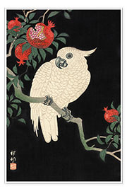 Wall print  A cockatoo on a pomegranate tree - Ohara Koson