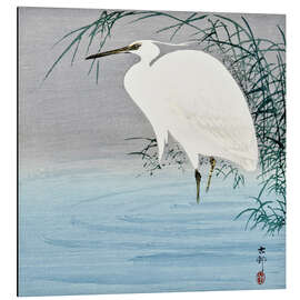 Cuadro de aluminio Wading Egret