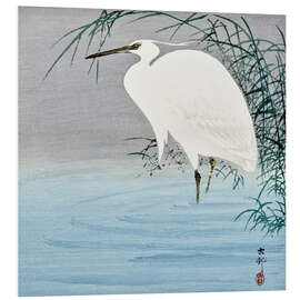 Foam board print Wading Egret