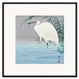 Ingelijste kunstdruk Wading Egret