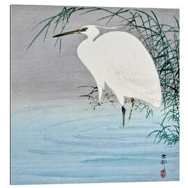 Quadro em plexi-alumínio Wading Egret