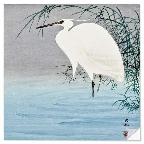 Selvklebende plakat Wading Egret