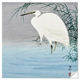 Selvklebende plakat Wading Egret