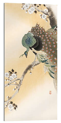 Galleriprint Peacock in a cherry tree