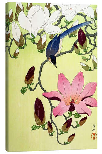 Canvas print Magpie with Pink and White Magnolia Blossoms