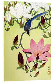 Stampa su PVC Magpie with Pink and White Magnolia Blossoms