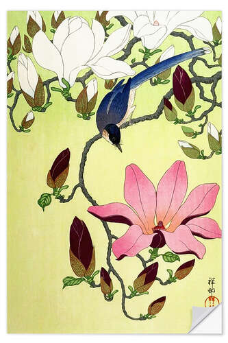 Wall sticker Magpie with Pink and White Magnolia Blossoms