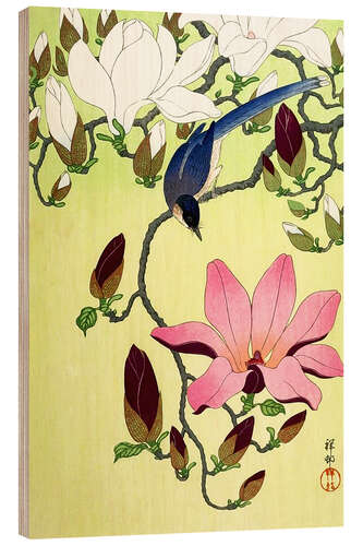 Quadro de madeira Magpie with Pink and White Magnolia Blossoms