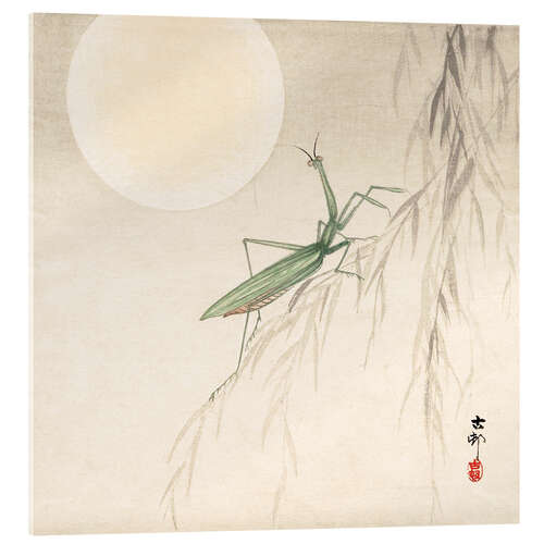 Acrylic print praying mantis on willow branch, a full moon above