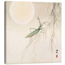 Canvas-taulu  praying mantis on willow branch, a full moon above - Ohara Koson