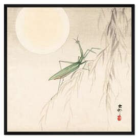 Gerahmter Kunstdruck Gottesanbeterin auf einem Weiden Zweig