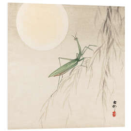 Foam board print praying mantis on willow branch, a full moon above