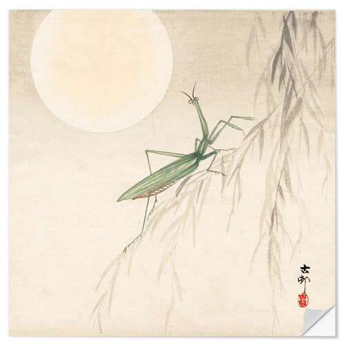 Selvklebende plakat Praying mantis and the moon