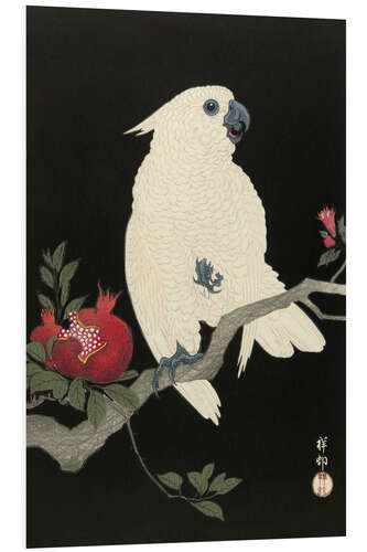 Foam board print Cockatoo and pomegranate