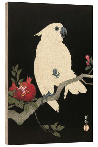 Print på træ Cockatoo on Pomegranate Branch