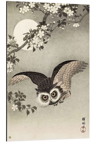Quadro em alumínio Owl in flight