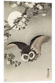 Hartschaumbild Eule im Flug