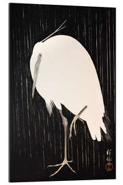 Gallery print White Crane in the rain