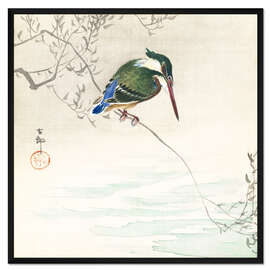 Gerahmter Kunstdruck Der Eisvogel