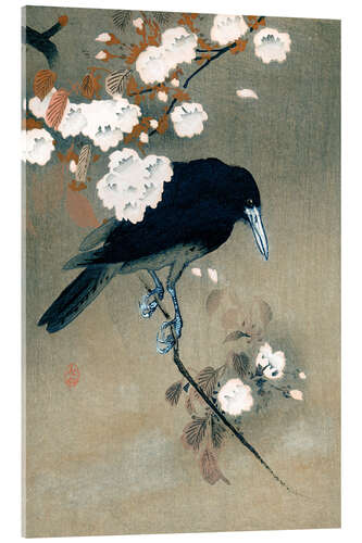 Akrylglastavla Crow and Cherry Blossoms