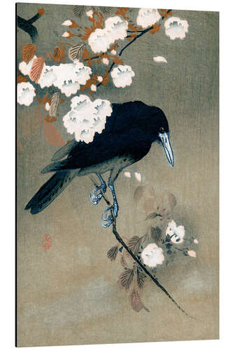 Aluminiumtavla Crow and Cherry Blossoms