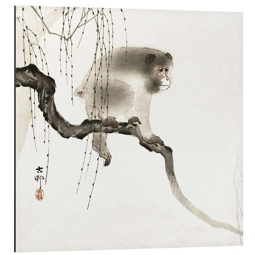 Quadro em alumínio Japanese macaque on a tree