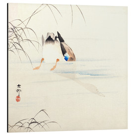 Alubild  Tauchender Mallard - Ohara Koson