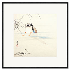 Impression artistique encadrée Canard plongeur - Ohara Koson