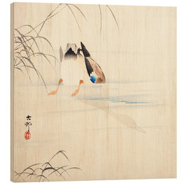 Cuadro de madera Pato buceando - Ohara Koson