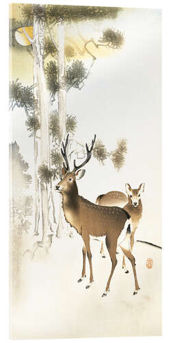 Cuadro de metacrilato Deer and roe deer in winter