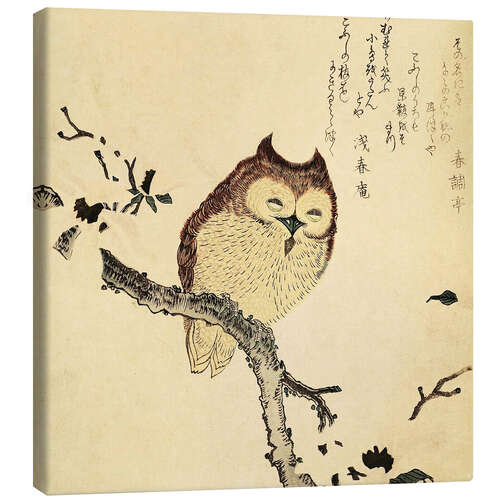 Canvas print Owl in blooming magnolia