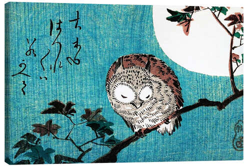 Canvas print Sleeping owl full moon