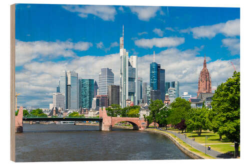Obraz na drewnie Frankfurt am Main