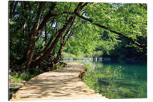 Gallery print Plitvice Lakes National Park, Croatia