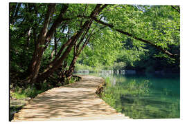 Magnettafel Nationalpark Plitwitzer Seen Holzsteg