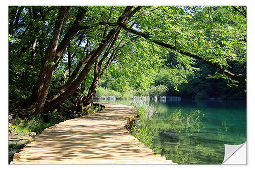 Wall sticker Plitvice Lakes National Park, Croatia