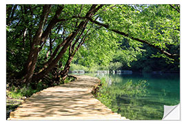 Naklejka na ścianę Plitvice Lakes National Park, Croatia