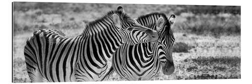 Galleriprint Zebras