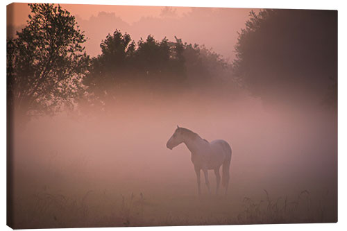 Leinwandbild Pferd im Nebel