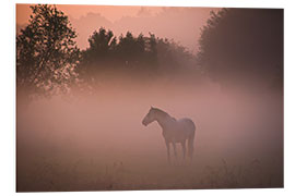 Tableau en PVC Cheval dans la brume