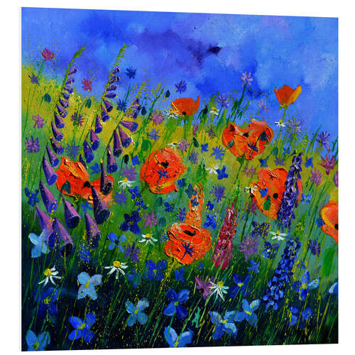 Foam board print Coloured flower meadow