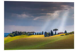 Foam board print Tuscany landscape