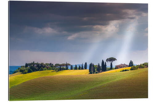 Galleritryck Tuscany landscape